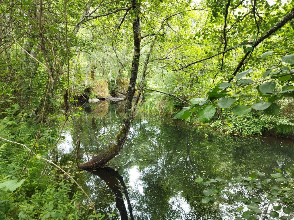 Ribeira de Ludares (Vale do Gavião).